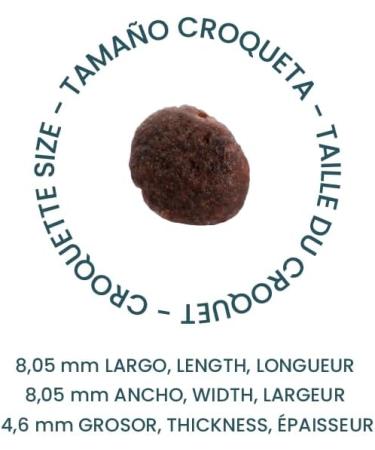 BREEDNA - Adult Mini Lamb+ 3kg | Hypoallergenic Dog Food for Small Breeds with Lamb | Ideal for Food Sensitivities | Adult Dog Food with Vitamins - Buy Online on GoSupps.com