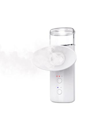 Eye Spa Mist Sprayer Moisturizing Hand Held Facial Sprayer Rechargeable Face Mister for Eyes Cools Mist Eye Dropper with Handheld Facial Hydrator Portable Refreshing Mist Sprayer for Salon Travel