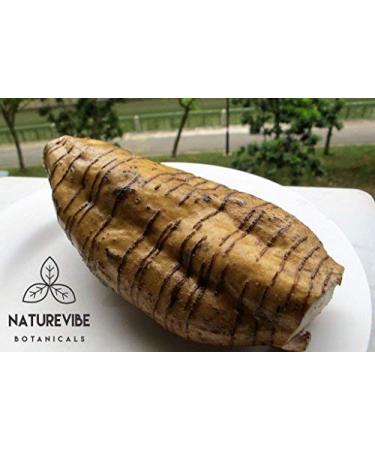 Naturevibe Botanicals Organic Arrowroot Powder 16oz | Gluten-Free Non-GMO Thickening Agent for Cooking & Baking - Manihot esculenta Starch | Packaging May Vary - 1lb - Buy Online on GoSupps.com