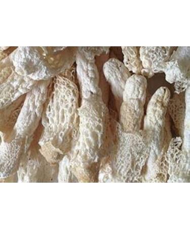 WENXUANSU:1 Pound (454 grams) Wild Bamboo Fungus Dried Mushroom from Yunnan China