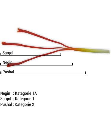  SAFRAN EXPERTE 2.3g of premium quality saffron thread in the box - Buy Online on GoSupps.com