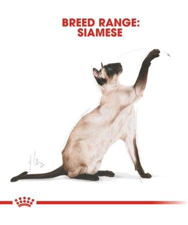 Royal Canin Siamese Adult Dry Cat Food 3 x 400g - Buy Online on GoSupps.com