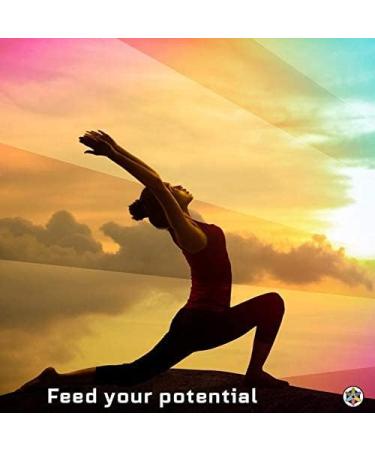 Chi Tonic for Energy & Vitality | Pure Chinese Herbs - Vegan Superfood Powder No Fillers Sugar-Free Gluten-Free - Mix in Smoothies & Tea - Buy Online on GoSupps.com
