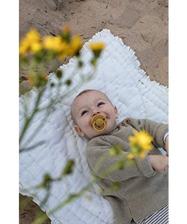 BIBS De Lux Collection Baby Pacifiers - BPA-Free, Made in Denmark | Baby Blue Color Soothers | Set of 2 | Size 6-18 Months - Buy Online on GoSupps.com