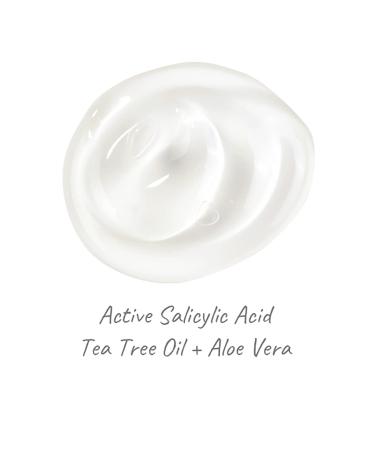Derma E Acne Blemish Treatment Serum - 2 oz | Effective Acne Care - Buy Online on GoSupps.com