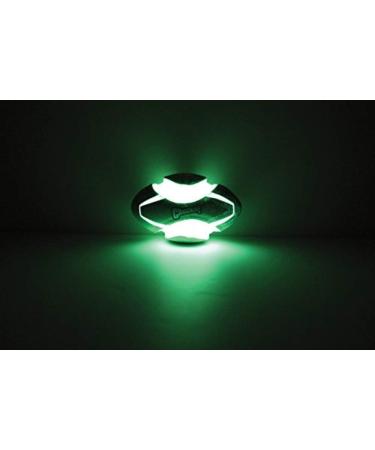 Chuckit! CH32306 Fumble Fetch Max Glow - Small Green/White Fetch Toy | International Shipping Available - Buy Online on GoSupps.com
