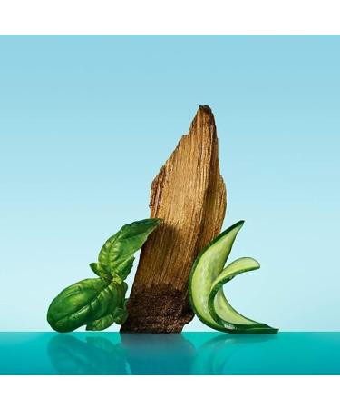 Calvin Klein Eternity Aqua Eau De Toilette Woody Men's Cologne With Notes of Cucumber Sage & Sandalwood Long Lasting Fragrance 3.3 Fl Oz (Pack of 1) - Buy Online on GoSupps.com