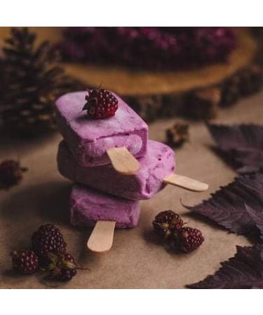 250g freeze-dried organic wild blackberries - crunchy and fruity organic dried blackberries no additives - in biodegradable packaging - Buy Online on GoSupps.com