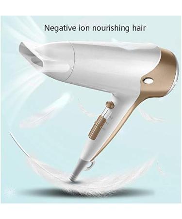 Hairdryer Professional Ionic Hair Dryer 2200W Powerful AC Motor Salon Fast Blow Dryers 3 Heat 2 Speed Settings Hair Dryer with Hair Comb/Nozzle for Men and Women Home and Salon Gold Small Gift - Buy Online on GoSupps.com