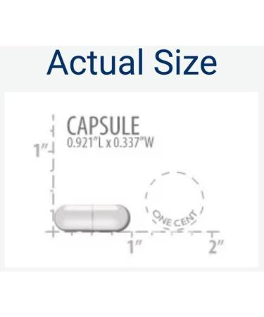 YHN Magnesium Caps 500mg - 270 Vegetarian Capsules | High Potency Supplement - Buy Online on GoSupps.com