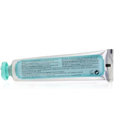 Mrvis Toothpaste Anise Mint 85 ml I Toothpaste for Cleansed Teeth and Healthy Gums I Lasting Fresh Breath I Star Anise and Mint (Pack of1) Italian Import - Buy Online on GoSupps.com