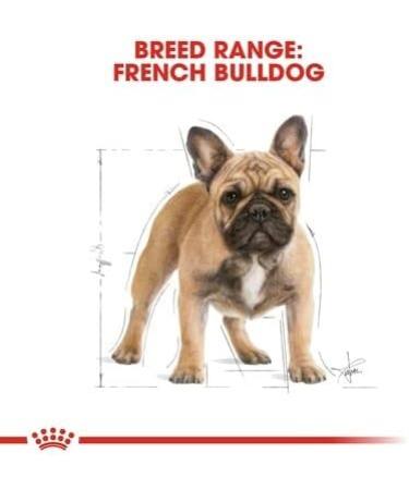 Royal Canin French Bulldog Pack of 2 adult dog kibbles 3 kg - Buy Online on GoSupps.com