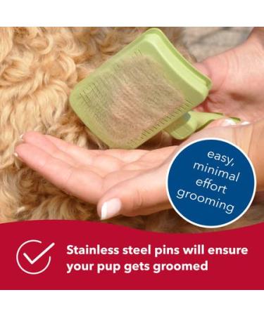 Safari Self-Cleaning Slicker Brush for Large Dogs - Efficient Fur Removal & Easy Maintenance - Buy Online on GoSupps.com