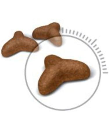 Royal Canin Light Weight Care Dry Cat Food 3kg 3 kg (Pack of 1) - Buy Online on GoSupps.com