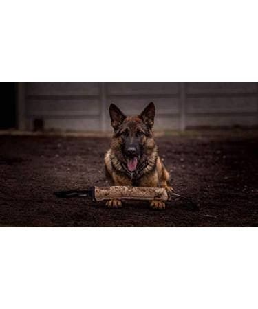 Dingo Gear Extra Strong Jute Bite Sausage Dog Toy - 60x8 cm IPO Training - Durable with 2 Holders | International Shipping Available - Buy Online on GoSupps.com