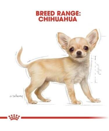 Royal Canin Chihuahua Puppy Dry Dog Food 1.5kg - Buy Online on GoSupps.com