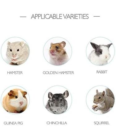 Detachable Small Animals Bowl - Ceramic Feeder for Rabbit, Parrot, Hamster - White S - Buy Online on GoSupps.com
