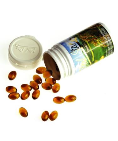 Rice Bran and Germ Oil Capsule Cholesterol Antioxidant Gamma Oryzanal