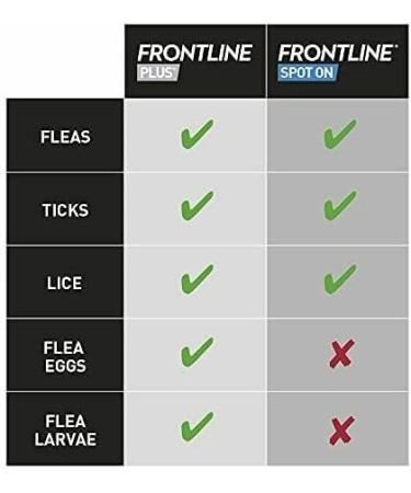 FRONTLINE Plus for Cats & Ferrets - 1 Pipette Flea & Tick Treatment (8 Weeks+) | Cat & Ferret Flea Treatment - Buy Online on GoSupps.com