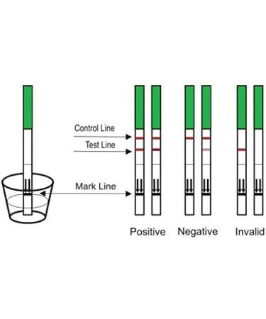 Female Fertility Test Menopause Kit - 3 FSH Strip Tests - Buy Online on GoSupps.com