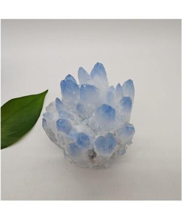 300-800g Rare Beautiful Blue Ghost Phantom Quartz Crystal Cluster Spec raw Gemstone Specimen for Home&Office Decoration fengshui Beautiful FUZEGRDLI (Size : 400-500g) - Buy Online on GoSupps.com