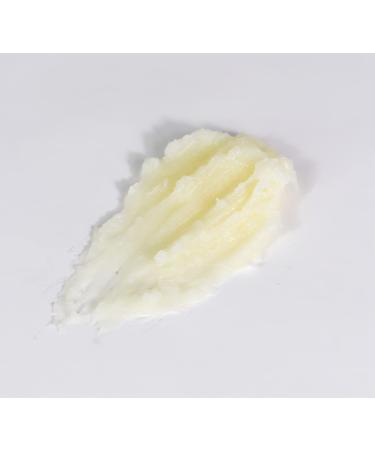Kobeesco Coconut Vanilla Lip Balm Pack - Moisturizing Lip Cure Chapstick (3-Pack) - Buy Online on GoSupps.com