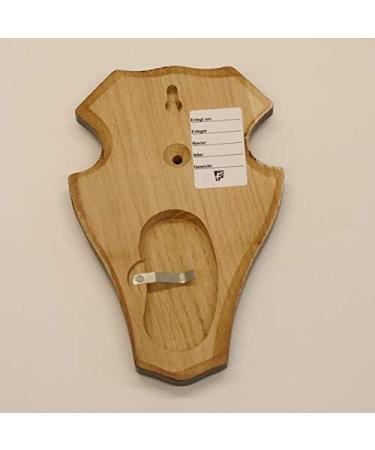 5 Pieces REH Buck Sign Trophy Set with Pine Compartment - Dark Oak Finish | International Shipping Available - Buy Online on GoSupps.com