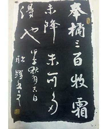 Hmayart Chromatic Sumi Liquid Ink 250g (White) for Japanese Brush Calligraphy & Chinese Art - Buy Online on GoSupps.com