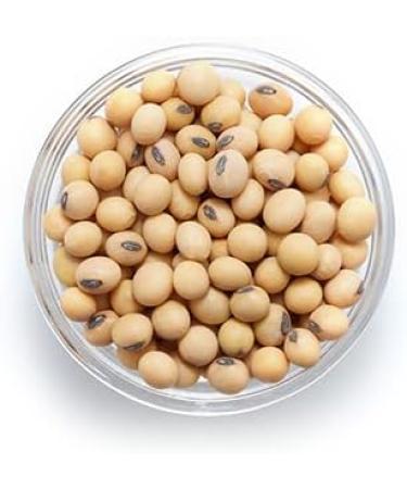Yupik Organic SOYA Beans Non-GMO Vegan Gluten-Free 1Kg 1 kg (Pack of 1) - Buy Online on GoSupps.com