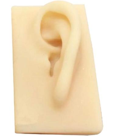 ERNZI Life Size Human Ear Model Set - 1:1 Acupuncture Educational Tool (Left & Right 9x5x7 cm) - Ideal for Students & Practitioners - Buy Online on GoSupps.com
