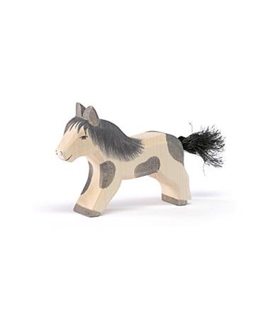 Shetland pony continuously Ostheimer 11304