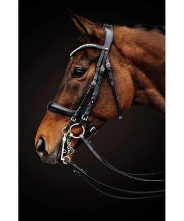 Schockem hle Sports Double Bridle EQUITUS Gamma XWB Black - Premium International Equestrian Gear - Buy Online on GoSupps.com