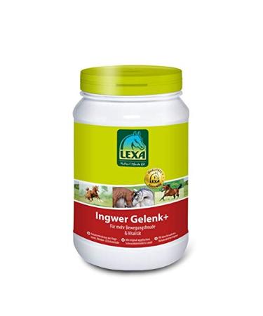 Lexa – Ginger Ball Head + – Food supplement for horses – 1 kg