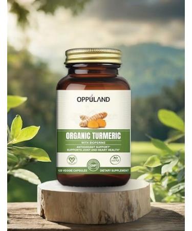 Organic Turmeric Capsules - 120 ct - Buy Online on GoSupps.com