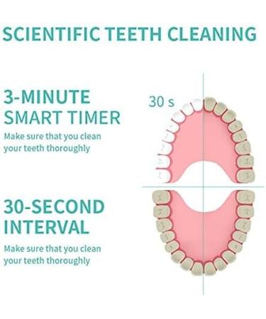 Teeth Cleaning Kit - Plaque Remover, Calculus Remover, Stain Removal - Blue Teeth Cleaning Tools - Buy Online on GoSupps.com