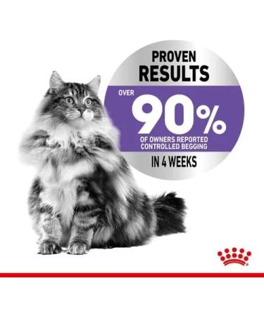 Royal Canin Appetite Control Care Adult Wet Cat Food in Gravy Adult Wet Cat Food 85g (Pack of 48) Meat 48 count (Pack of 1) - Buy Online on GoSupps.com