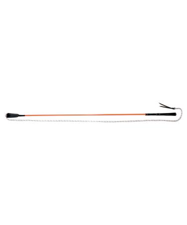 Whip And Go 953440 Ethological Stick, Mixed, 953440