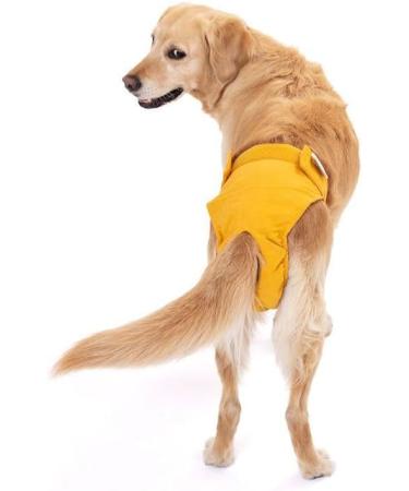 Lill's Organic Cotton Fuse Pants for Women | Flexible Closure Washable & Extra Absorbent | XS to XXL | Amber Yellow - Buy Online on GoSupps.com