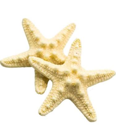 2 Pcs Starfish Hair Clip Resin Beach Sea Star Hair Pins Mermaid Hair Clips Accessories for Women and Girls Bridal Flower Girl Accessories for Wedding. - Buy Online on GoSupps.com