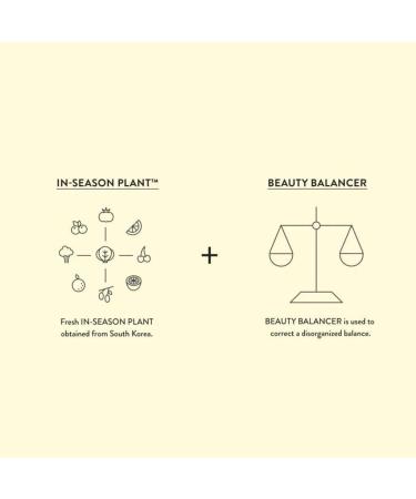 Miin Cosmetics SL SIORIS Feel So Fresh facial tonic transparent 50 ml - Buy Online on GoSupps.com