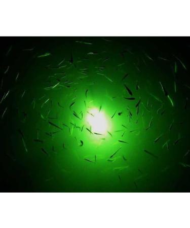 Underwater Fishing LED Light 15w,12v,Green Light IP68 Waterproof Lamp 360  Degree All-Round Underwater Lighting Fish Light Collection Fish Lamp for Underwater  Lighting, Night Fishing, Lure