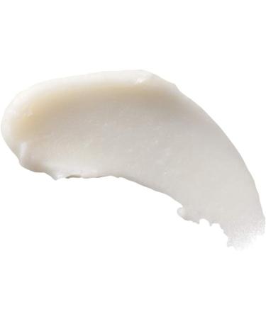 Burt's Bees 100% natural origin Moisturizing Lip Butter with Wild Rose and Berry 11.3 Grams - Buy Online on GoSupps.com