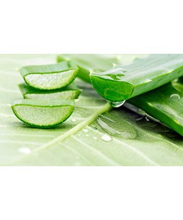 Nature Drop USDA Organic Aloe Vera Oil - 2 oz | 100% Pure Vitamin C E B | Allantoin Minerals Proteins Polysaccharides Enzymes | 2 Fl Oz (Pack of 1) - Buy Online on GoSupps.com