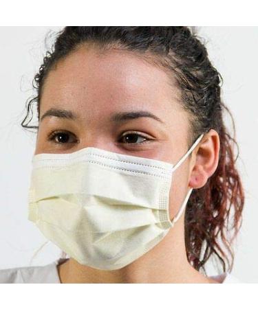 Cardinal Health AT70021 Secure-Gard Procedure Mask with Earloop - Pack of 500 - Buy Online on GoSupps.com