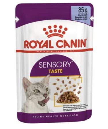 Royal Canin Sensory Taste in Jelly Wet Cat Food 85g (Pack of 48)