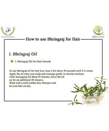  QURA QURA Raintech Organic Bhringraj Leaf Powder with Hibiscus Flower Powder for Hair Growth - 100% Natural Pure and Organic for Hair and Skin Care (Bhringraj Powder 100g & Hibiscus Powder 100g) - Buy Online on GoSupps.com