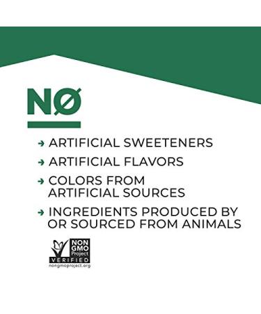 Evolve Plant Based Protein Shake - Double Chocolate, 20g Vegan Protein, Dairy Free, Non-GMO, 10g Fiber, 12 Pack - Buy Online on GoSupps.com