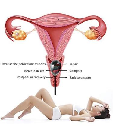 FANGO Yoni Egg - Natural Bloodstone Massage Egg with Wooden Base for Pelvic Floor Exercises - Buy Online on GoSupps.com