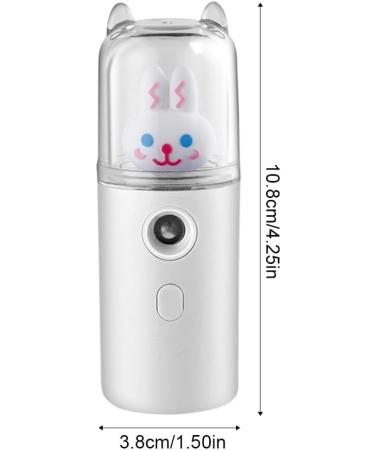 dijiusidy USB Sprayer Maker Portable 30ml Mini Humidifier Fogger Face Steamer Traveling Camping Atomizer Beauty Instrument Type 2 White - Buy Online on GoSupps.com