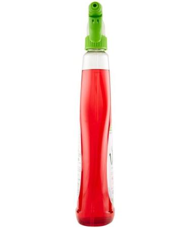 Chanteclair Eco-Friendly Multi-Purpose Laundry Detergent with Raspberry Vinegar 620ml + 1 x Felce Azzurra Talc Bag 100g - Buy Online on GoSupps.com